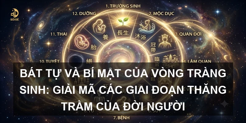 Bát tự và bí mật của Vòng Tràng Sinh: Giải mã các giai đoạn thăng trầm của đời người