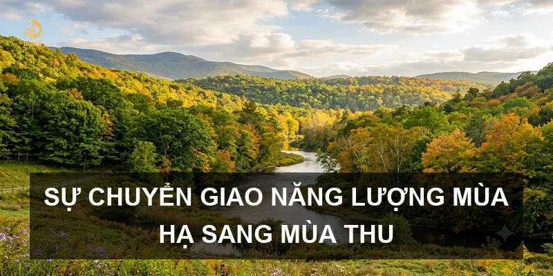 Sự chuyển giao năng lượng mùa hạ sang mùa thu