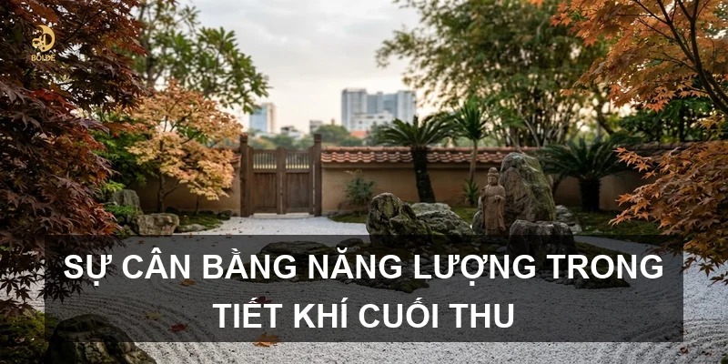 Sự cân bằng năng lượng trong tiết khí cuối thu