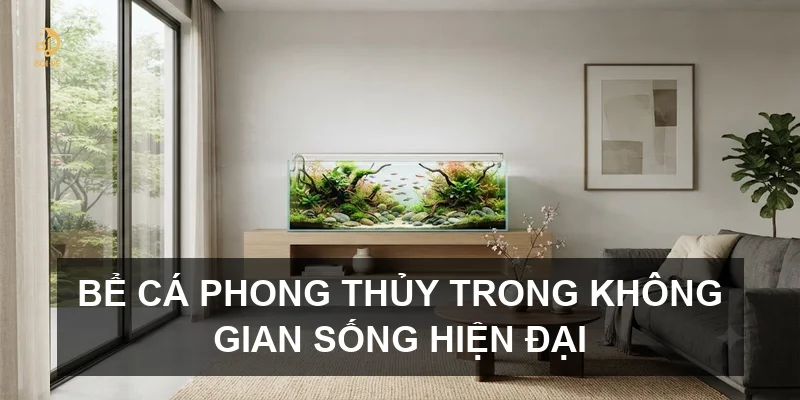Bể cá phong thủy trong không gian sống hiện đại
