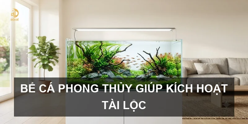 Bể cá phong thủy giúp kích hoạt tài lộc
