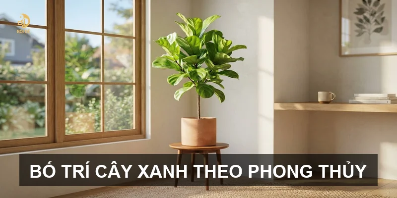 Bố trí cây xanh theo phong thủy