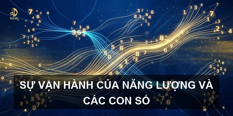 Sự vận hành của năng lượng và các con số