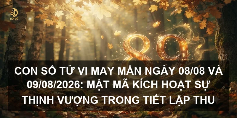 Con số tử vi may mắn ngày 08/08 và 09/08/2026: Mật mã kích hoạt sự thịnh vượng trong tiết Lập Thu