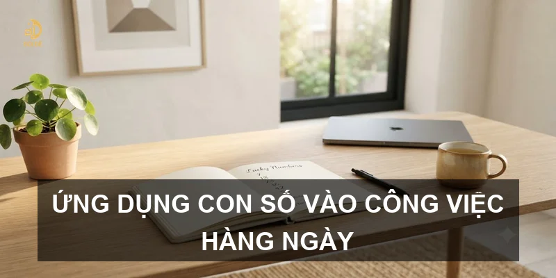 Ứng dụng con số vào công việc hàng ngày