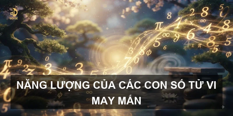 Năng lượng của các con số tử vi may mắn