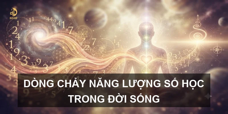 Dòng chảy năng lượng số học trong đời sống
