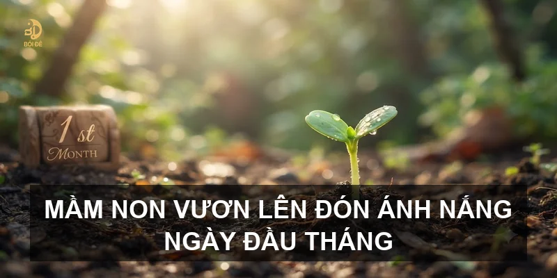 Mầm non vươn lên đón ánh nắng ngày đầu tháng