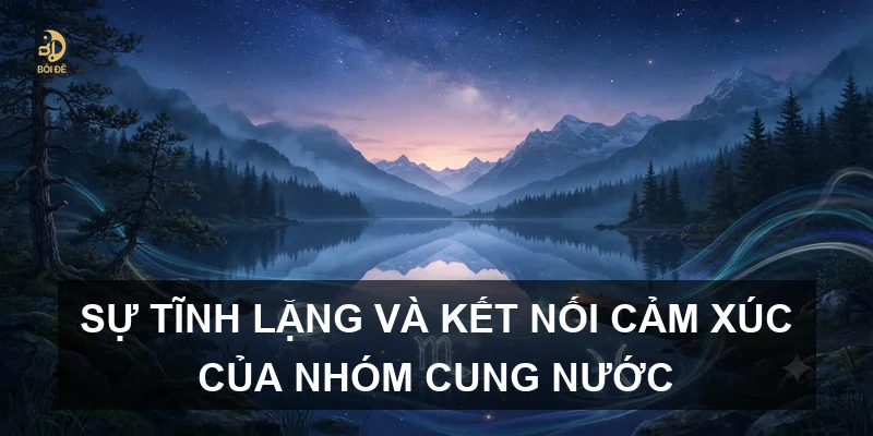Sự tĩnh lặng và kết nối cảm xúc của nhóm cung Nước