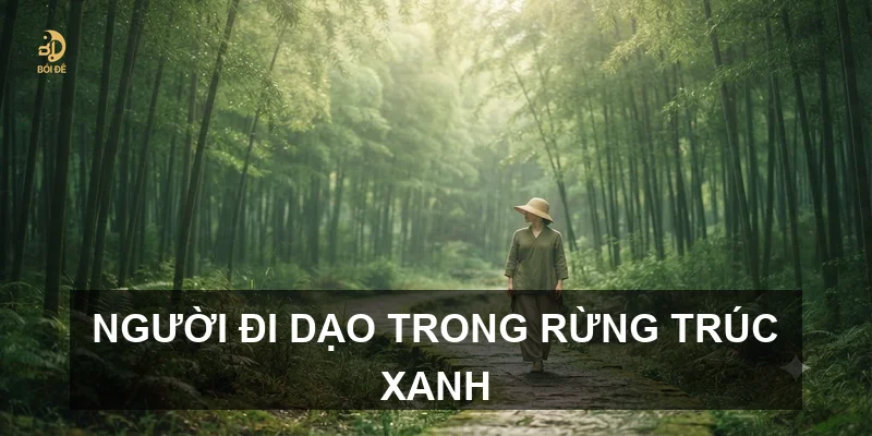 Người đi dạo trong rừng trúc xanh