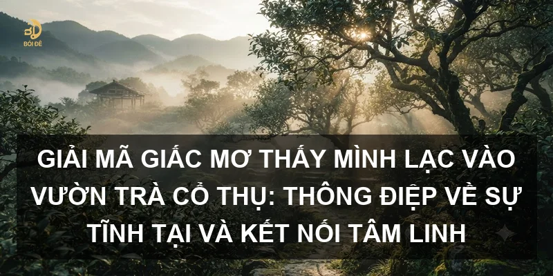 Giải mã giấc mơ thấy mình lạc vào vườn trà cổ thụ: Thông điệp về sự tĩnh tại và kết nối tâm linh