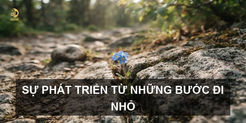 Sự phát triển từ những bước đi nhỏ