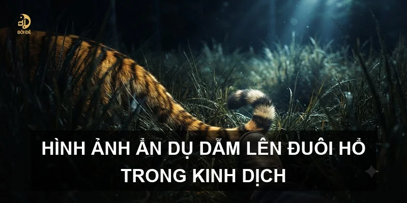 Hình ảnh ẩn dụ dẫm lên đuôi hổ trong Kinh Dịch