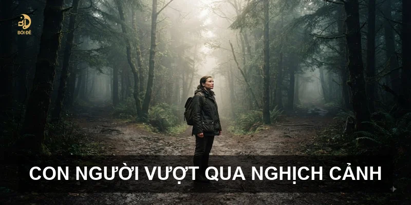 Con người vượt qua nghịch cảnh
