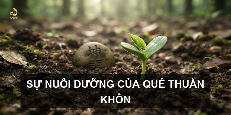 Sự nuôi dưỡng của quẻ Thuần Khôn