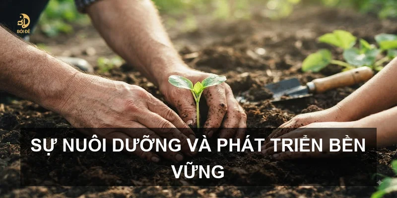 Sự nuôi dưỡng và phát triển bền vững