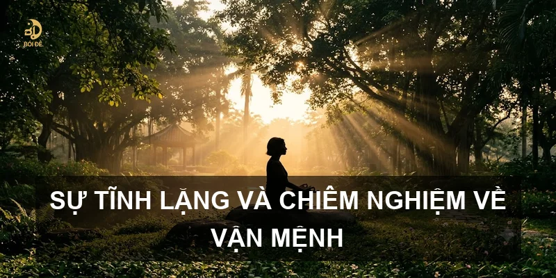 Sự tĩnh lặng và chiêm nghiệm về vận mệnh