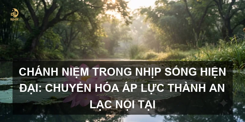 Chánh niệm trong nhịp sống hiện đại: Chuyển hóa áp lực thành an lạc nội tại