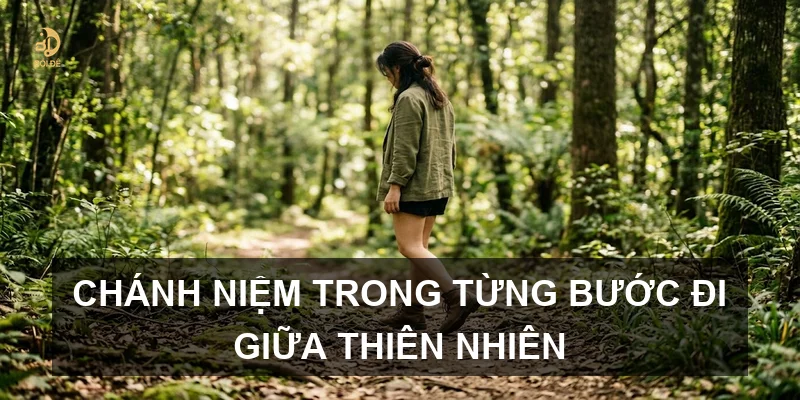 Chánh niệm trong từng bước đi giữa thiên nhiên