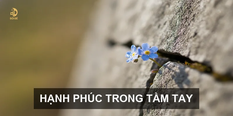 Danh ngôn hạnh phúc: Những triết lý sâu sắc giúp bạn tìm thấy niềm vui trong cuộc sống