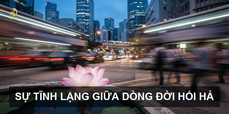 Sự tĩnh lặng giữa dòng đời hối hả
