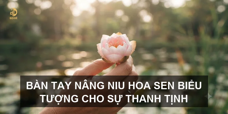 Bàn tay nâng niu hoa sen biểu tượng cho sự thanh tịnh