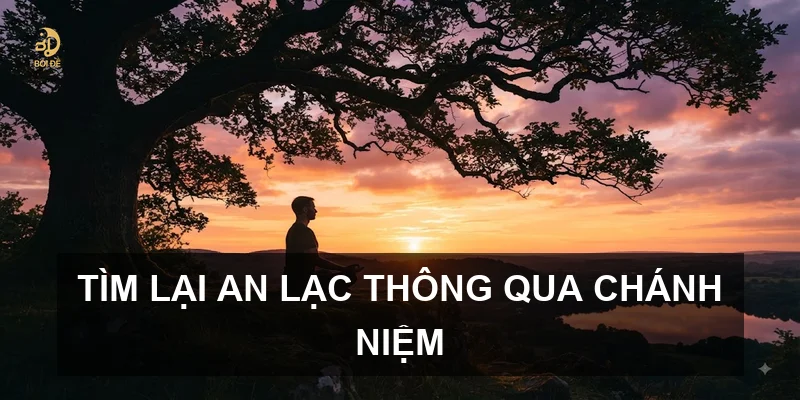 Tìm lại an lạc thông qua Chánh niệm