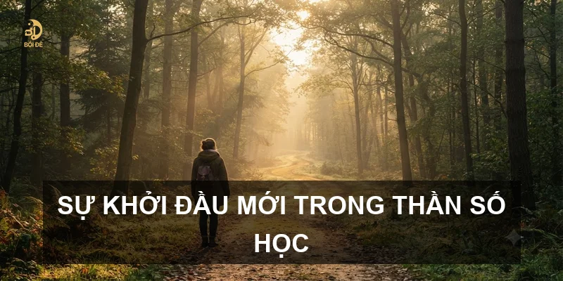 Sự khởi đầu mới trong thần số học