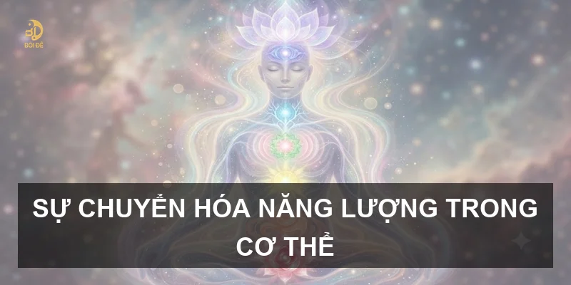 Sự chuyển hóa năng lượng trong cơ thể