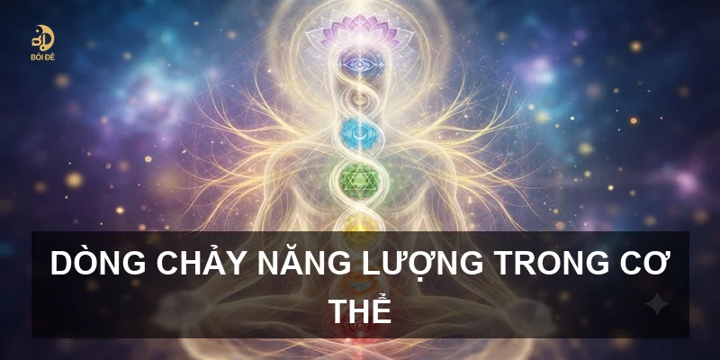 Dòng chảy năng lượng trong cơ thể