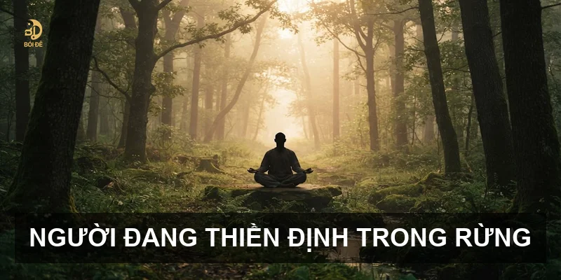Người đang thiền định trong rừng