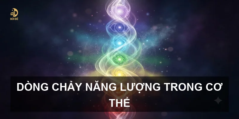 Dòng chảy năng lượng trong cơ thể