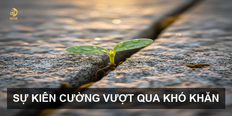 Danh ngôn thành công và thất bại: Chìa khóa khai mở vận mệnh ngày 05/07/2026
