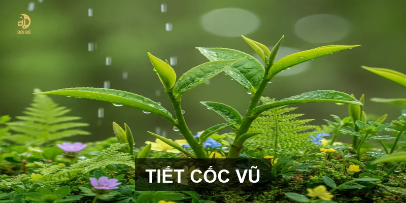 Lịch Âm tháng 4 năm 2027: Những cột mốc tiết khí và vận trình cần lưu ý