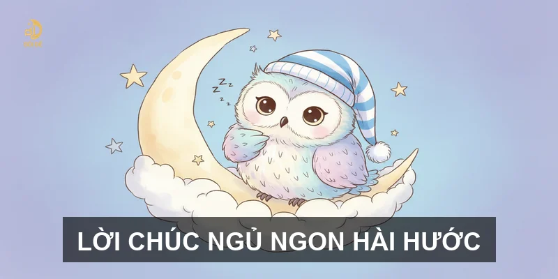 Tổng hợp những tin nhắn chúc ngủ ngon ngọt ngào và hài hước nhất