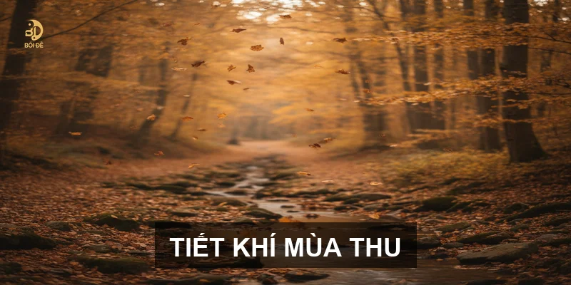 Lịch Âm tháng 10 năm 2026: Khám phá các tiết khí quan trọng