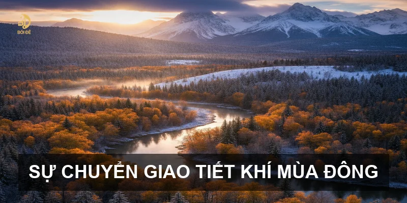Lịch Âm tháng 11 năm 2026: Những cột mốc tiết khí quan trọng bạn cần biết