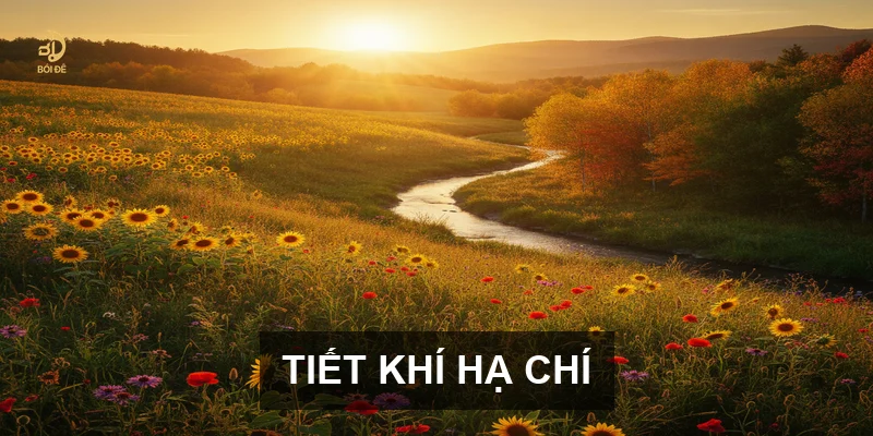 Lịch Âm tháng 6 năm 2027: Những cột mốc tiết khí quan trọng cần lưu ý