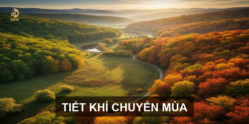 Lịch Âm tháng 8 năm 2026: Những cột mốc tiết khí và vận trình ngày mới