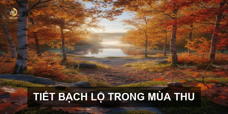Lịch Âm tháng 9 năm 2026: Cập nhật chi tiết các tiết khí quan trọng