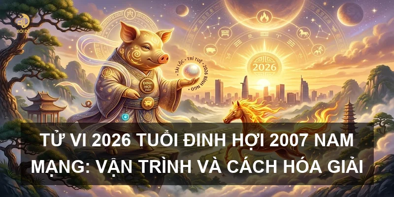 Tử vi 2026 tuổi Đinh Hợi 2007 nam mạng: Vận trình và cách hóa giải