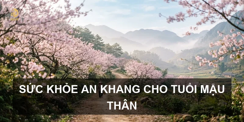 Tử vi 2026 tuổi Mậu Thân 1968 nam mạng: Vận trình chi tiết và cách hóa giải