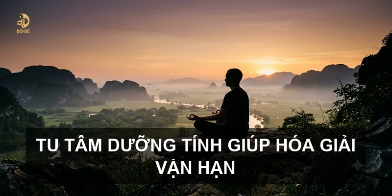 Tử vi 2026 tuổi Nhâm Tý 1972 nam mạng: Vận hạn và cách hóa giải chi tiết