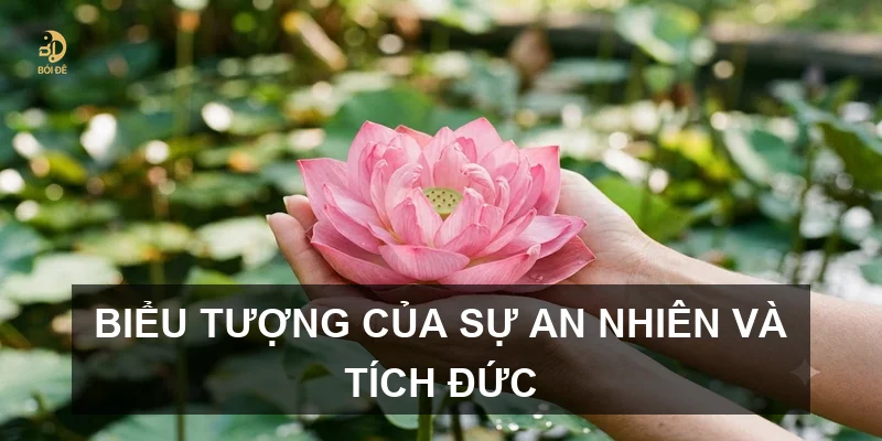 Tử vi tuổi Nhâm Dần 1962 nữ mạng năm 2026: Vận trình và cách hóa giải