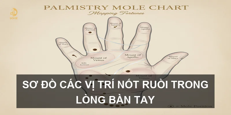 Giải mã ý nghĩa nốt ruồi trong lòng bàn tay: Vận mệnh sang hay hèn?