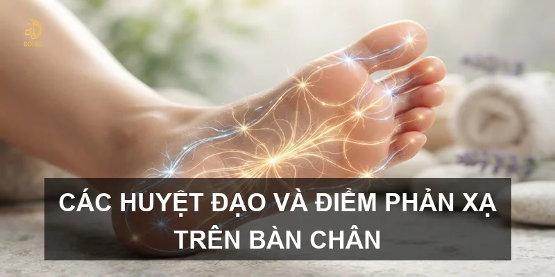 Các huyệt đạo và điểm phản xạ trên bàn chân