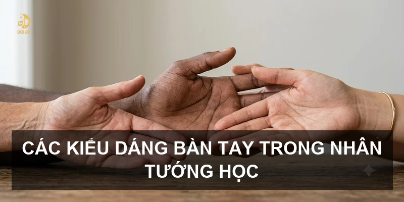 Các kiểu dáng bàn tay trong nhân tướng học