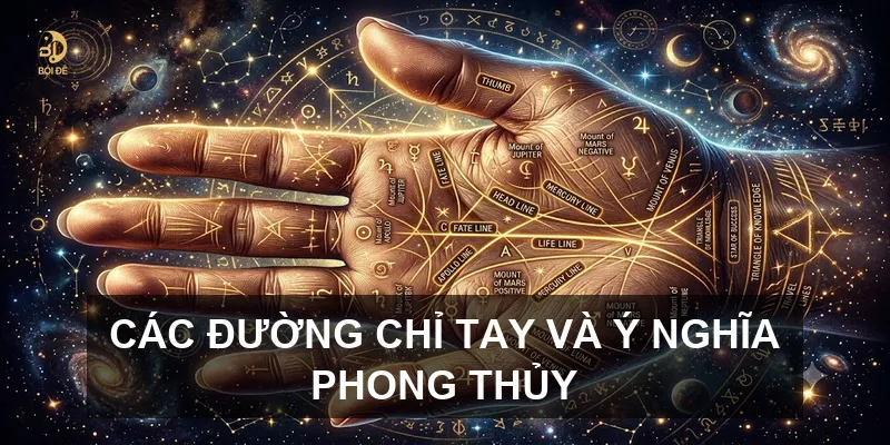 Các đường chỉ tay và ý nghĩa phong thủy