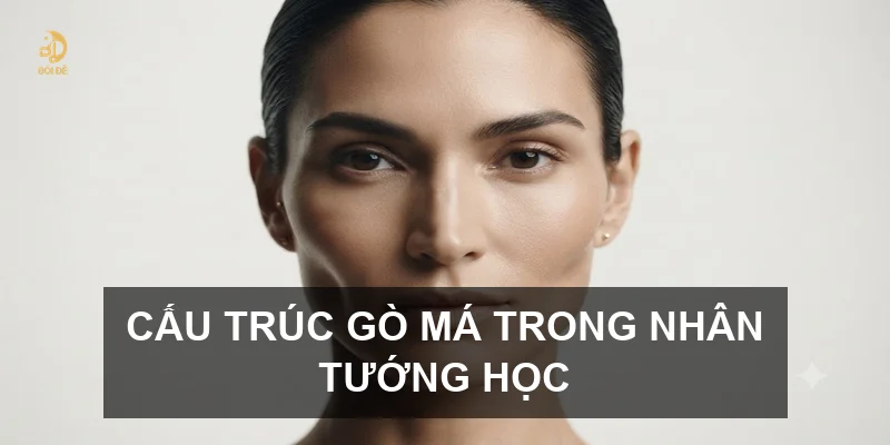 Cấu trúc gò má trong nhân tướng học