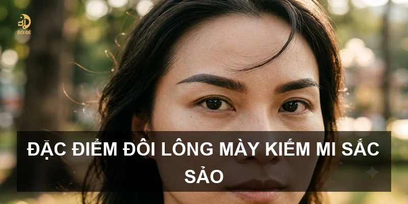 Đặc điểm đôi lông mày kiếm mi sắc sảo
